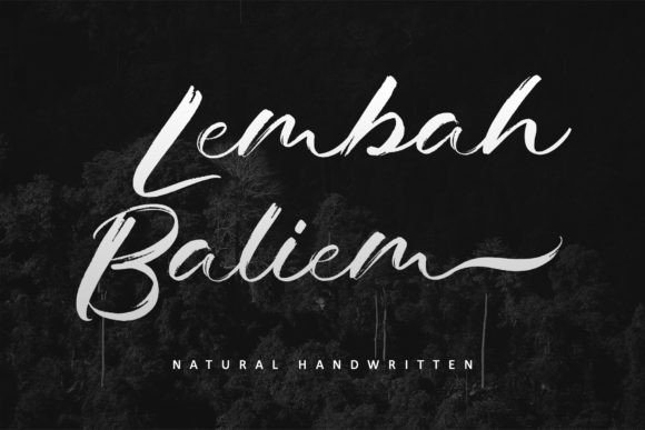Revamp Your Brand with the Lembah Baliem Typeface